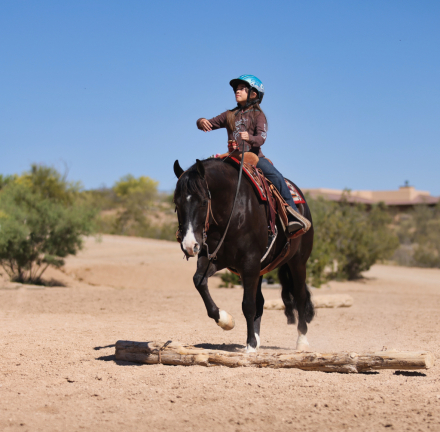 HorseID: 2313701 DT TRASHYA ONE TIME - PhotoID: 1099200