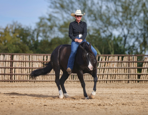 HorseID: 2313701 DT TRASHYA ONE TIME - PhotoID: 1099201