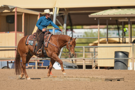 HorseID: 2313705 RUF AFFAIR - PhotoID: 1099209
