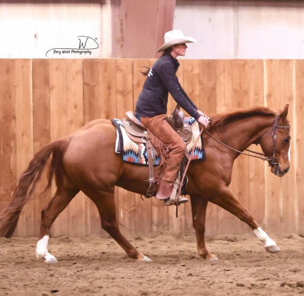HorseID: 2313717 One Ichi Time - PhotoID: 1099229