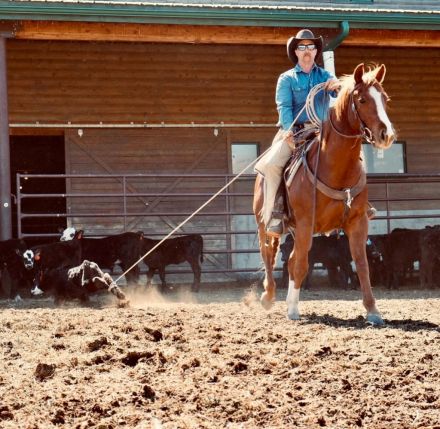 HorseID: 2313717 One Ichi Time - PhotoID: 1099231