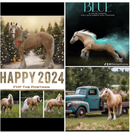 HorseID: 2313729 Love Letters - PhotoID: 1099253