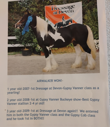HorseID: 2313729 Love Letters - PhotoID: 1099254