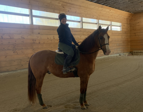 HorseID: 2313731 AE Air N Moon - PhotoID: 1099262