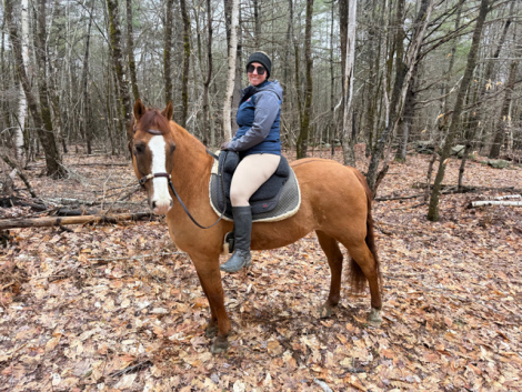 HorseID: 2313731 AE Air N Moon - PhotoID: 1099788