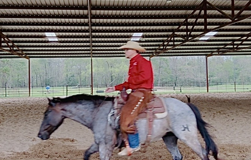 HorseID: 2313743 Megan Blue Magnet - PhotoID: 1099266