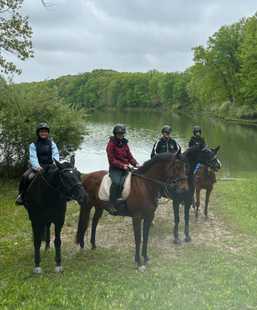 HorseID: 2313760 Dreaming of Paris - PhotoID: 1099287