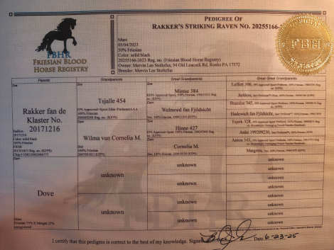 HorseID: 2313766 Rakkers Striking Raven - PhotoID: 1099296
