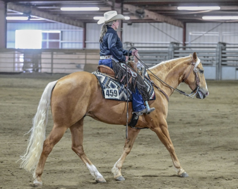 HorseID: 2313769 Lil BIT O GENUINEDOC - PhotoID: 1099920