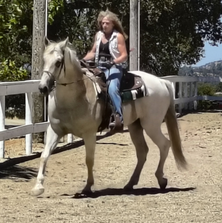 HorseID: 2313786 Castillo - PhotoID: 1099315