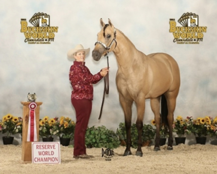 HorseID: 2313833 ZIP WITH DYNASTY - PhotoID: 1099389