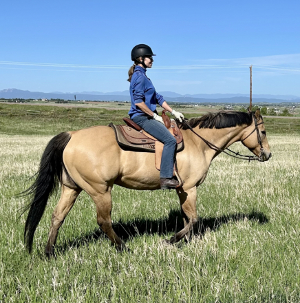 HorseID: 2313833 ZIP WITH DYNASTY - PhotoID: 1099465