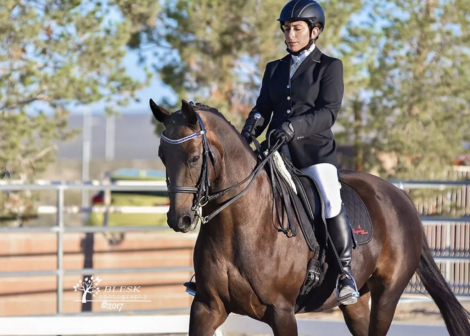HorseID: 2313865 Dondali - PhotoID: 1099387
