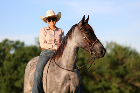 HorseID: 2313897 Bluey - PhotoID: 1099422
