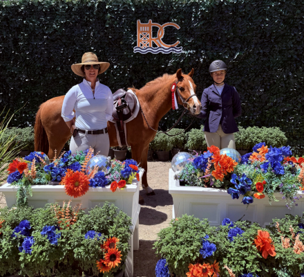 HorseID: 2313919 Mulberry Magic - PhotoID: 1099459