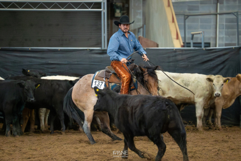 HorseID: 2313928 Ginnin Valentine - PhotoID: 1099479