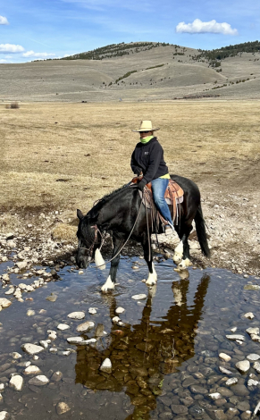 HorseID: 2313962 Tug - PhotoID: 1099519