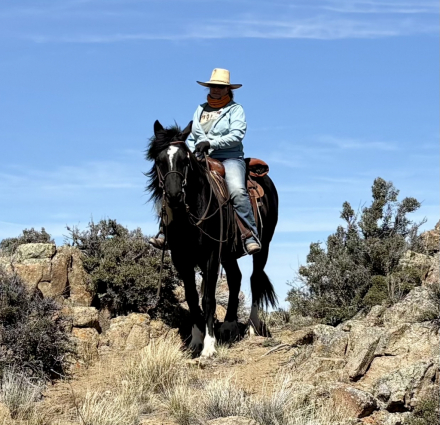 HorseID: 2313962 Tug - PhotoID: 1099520