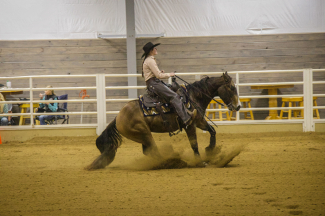 HorseID: 2314012 Helluva Good Cat - PhotoID: 1099555