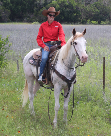 HorseID: 2314036 Blue Cheese - PhotoID: 1099583
