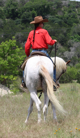 HorseID: 2314036 Blue Cheese - PhotoID: 1099586