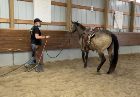 HorseID: 2314056 WF SLEW DUN IT AGAIN - PhotoID: 1099619