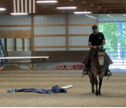 HorseID: 2314056 WF SLEW DUN IT AGAIN - PhotoID: 1099620