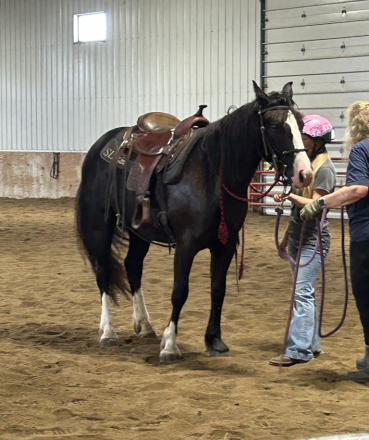 HorseID: 2314071 Feathers and Lace Dare to Dream - PhotoID: 1099668