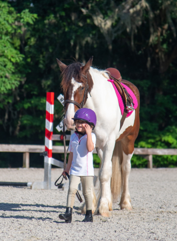 HorseID: 2314098 Milkshake - PhotoID: 1099704