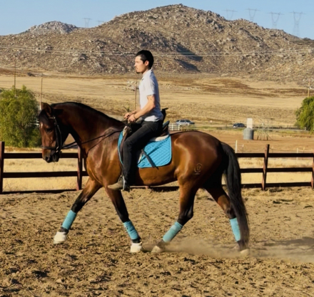 HorseID: 2314122 Chuck - PhotoID: 1099724
