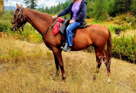 HorseID: 2314132 With Exhilaration - PhotoID: 1099732