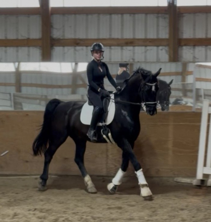 HorseID: 2314197 Karino - PhotoID: 1099808