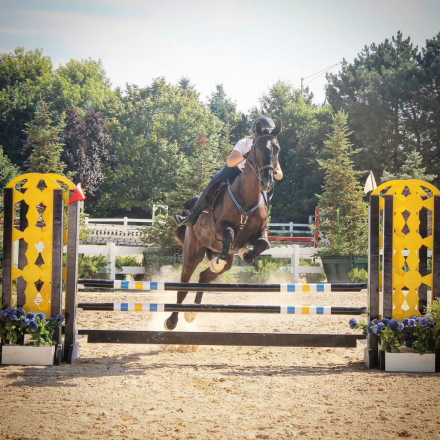 HorseID: 2314197 Karino - PhotoID: 1099809