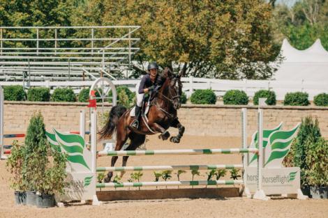 HorseID: 2314197 Karino - PhotoID: 1099810