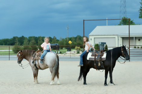 HorseID: 2314201 Nugget - PhotoID: 1099687