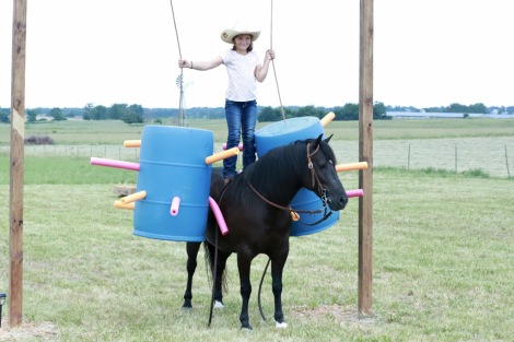 HorseID: 2314201 Nugget - PhotoID: 1099688