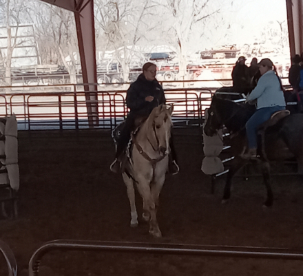 HorseID: 2314213 Sonny - PhotoID: 1099831