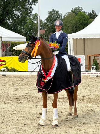 HorseID: 2314252 Synergy HW at www.HWfarm.com - PhotoID: 1099891