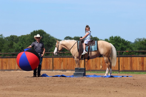 HorseID: 2314271 BLING 182 - PhotoID: 1099908