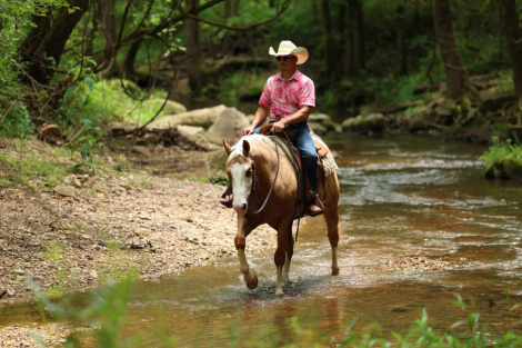 HorseID: 2314271 BLING 182 - PhotoID: 1099911