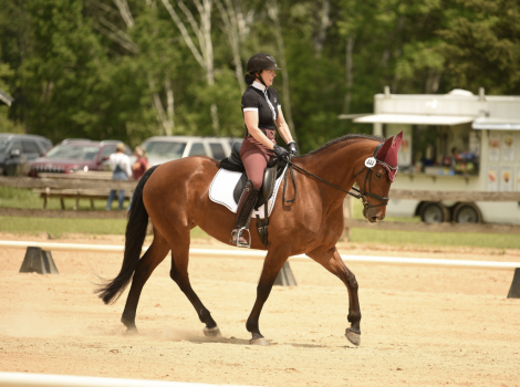HorseID: 2314274 Zeta - PhotoID: 1099919