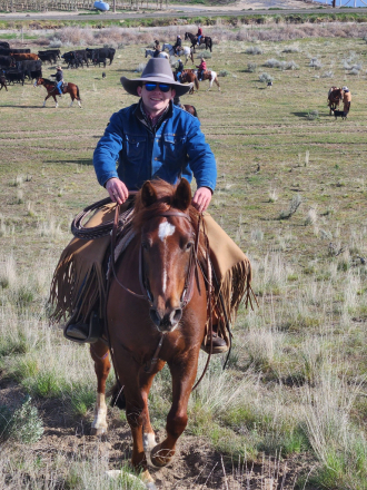 HorseID: 2314317 Docs Royal Bee - PhotoID: 1099964