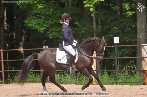 HorseID: 2314326 Hurrah - PhotoID: 1099984