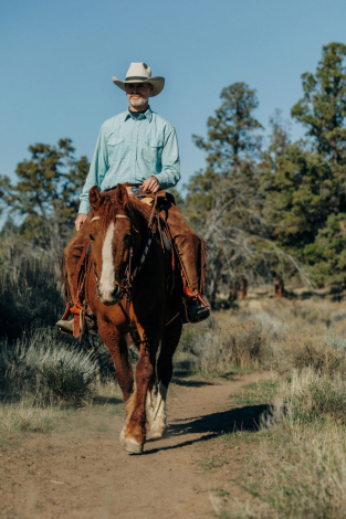 HorseID: 2314341 MO Curly Sue - PhotoID: 1100038