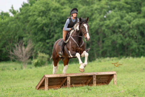 HorseID: 2314342 Raffi - PhotoID: 1099996