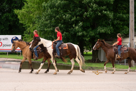 HorseID: 2314342 Raffi - PhotoID: 1099997
