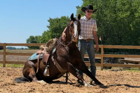 HorseID: 2314345 U Don’t Know Jac - PhotoID: 1100008