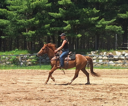HorseID: 2314370 Smart Trixie - PhotoID: 1100046