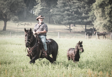 HorseID: 2314401 Ayla - PhotoID: 1100084