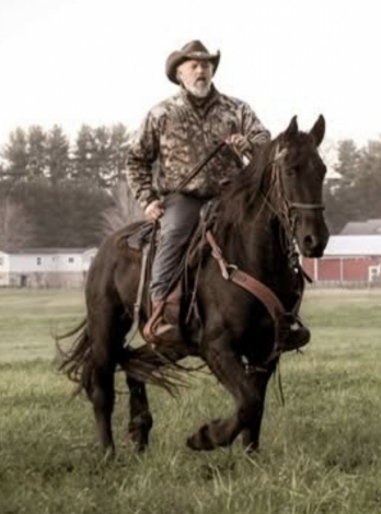 HorseID: 2314401 Ayla - PhotoID: 1100086